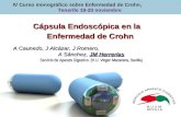 Cápsula Endoscópica en la Enfermedad de Crohn IV Curso monográfico sobre Enfermedad de Crohn, Tenerife 19-20 noviembre A Caunedo, J Alcázar, J Romero,