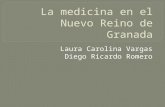 Laura Carolina Vargas Diego Ricardo Romero. La s enfermedades de tipo infecto contagiosos como la Viruela, la fiebre Amarilla, La lepra causaron grandes.