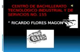 CENTRO DE BACHILLERATO TECNOLOGICO INDUSTRIAL Y DE SERVICIOS NO. 155 RICARDO FLORES MAGON.