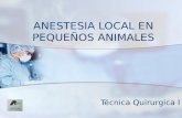 ANESTESIA LOCAL EN PEQUEÑOS ANIMALES Técnica Quirurgica I.