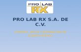 PRO LAB RX S.A. DE C.V.. ¿QUIENES SOMOS? PRO LAB RX S.A. DE C.V. es una empresa dedicada principalmente a atender las necesidades de mantenimiento a equipo.
