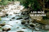 LOS RIOS DE ESPAÑA. La mayoría de los ríos españoles son cortos y poco caudalosos. En España existen tres vertientes hidrográficas: la cantábrica, la.