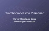 Tromboembolismo Pulmonar Warner Rodríguez Jerez Neumólogo / Internista.