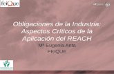 Obligaciones de la Industria: Aspectos Críticos de la Aplicación del REACH Mª Eugenia Anta FEIQUE.