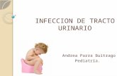 INFECCION DE TRACTO URINARIO Andrea Parra Buitrago Pediatría.