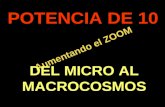 . Aumentando el ZOOM POTENCIA DE 10 DEL MICRO AL MACROCOSMOS.