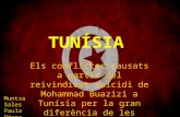 Conflictes al Món [Tunísia]