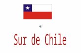 La zona sur de Chile comprende las regiones : Araucanía, Los Ríos y Los Lagos. Esta área es una de las más heterogéneas en cuanto a paisajes y actividades.