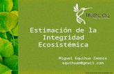 Plan Concepto de integridad ecosistémica Aproximación bayesiana Ejemplos de aplicación Avances.