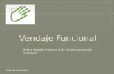 Ilustre Colegio Profesional de Fisioterapeutas de Andalucía Sandra Alcaraz Clariana.