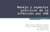 Manejo y aspectos prácticos de la infección por VHB MIR2: Maria Bellido Segarra Tutora: Belén Persiva Saura CS Rafalafena Noviembre 2013.