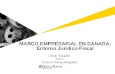 MARCO EMPRESARIAL EN CANADA: Entorno Juridico-Fiscal Cesar Vazquez Socio Ernst & Young Abogados.