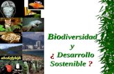 Bio diversidad y ¿ Desarrollo Sostenible ?. ¿Qué es Biodiversidad? Biodiversidad Se define Biodiversidad como la variabilidad de organismos vivos de cualquier.