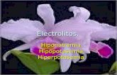Electrolitos. Hiponatremia.Hipopotasemia. Hiperpotasemia.