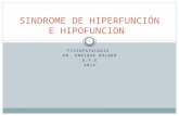 FISIOPATOLOGIA DR. ENRIQUE BOLADO U.P.E 2014 SINDROME DE HIPERFUNCIÓN E HIPOFUNCION 1.
