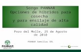 Sorgo PANNAR Opciones de híbridos para cosecha y para ensilaje de alta calidad Pozo del Molle, 25 de Agosto de 2010 PANNAR Semillas SRL.
