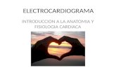 ELECTROCARDIOGRAMA INTRODUCCION A LA ANATOMIA Y FISIOLOGIA CARDIACA.
