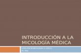 INTRODUCCIÓN A LA MICOLOGÍA MÉDICA UMG-MICROBIOLOGÍA II (2011) M. PAZ.