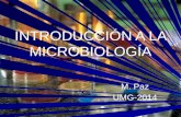 INTRODUCCIÓN A LA MICROBIOLOGÍA M. Paz UMG-2014 ¿Qué es la microbiología? Estudio de los organismos microscópicos 3 palabras griegas: mikros (pequeño),