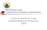 REANIMACIÓN CARDIOPULMONAR NEONATAL Carlos Suquilanda Flores Hospital Regional de Huacho 2009.