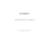 Unidad I Introducción al seguro 1 Lic. Amado Jorge Adorno F. - Contabilidad Financiera V - Año 2014.
