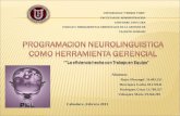 Programacion Neurolinguistica como Herramienta Gerencial