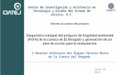 Centro de Investigación y Asistencia en Tecnología y Diseño del Estado de Jalisco, A.C. Informe de avance del proyecto Diagnóstico integral del polígono.