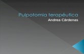 Pulpotomia terapéutica.ppt para blog