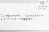Diciembre 2012 Componente Inspección y Vigilancia Pesquera.