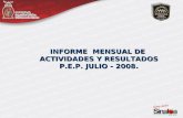 INFORME MENSUAL DE ACTIVIDADES Y RESULTADOS P.E.P. JULIO - 2008.