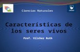 Ciencias Naturales Prof. Vilchez Ruth. ¿Que características tienen en común estos organismos?