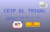 Colegio Bilingüe para el curso 2009/2010 CEIP EL TRIGAL.