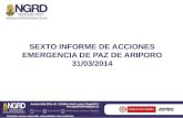 SEXTO INFORME DE ACCIONES EMERGENCIA DE PAZ DE ARIPORO 31/03/2014.