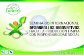 Tendencias internacionales sobre la producción y el consumo sostenible Bart van Hoof Facultad de Administración Universidad de Los Andes (bjv@adm.uniandes.edu.co)