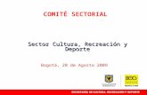 COMITÉ SECTORIAL Sector Cultura, Recreación y Deporte Bogotá, 20 de Agosto 2009.