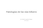 Patologías de las vías biliares Dr. Rubén Aguilar Zapag. I.P.S. 2011.