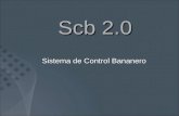 Scb 2.0 Sistema de Control Bananero. El SCB está compuesto por diferentes módulos para cada una de las áreas que componen su finca bananera, dichos módulos.