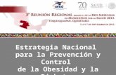 Estrategia Nacional para la Prevención y Control de la Obesidad y la Diabetes.