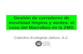 Gestión de corredores de movilidad limpios y verdes: el caso del Macrobús en la ZMG Colectivo Ecologista Jalisco, A.C.