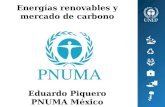 Energías renovables y mercado de carbono Eduardo Piquero PNUMA México.