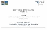 SISTEMAS INTEGRADOS (Parte I) AMGN REUNIÓN ANUAL DE ASOCIADOS Y ASAMBLEA GENERAL 2011 Acapulco, Gro. Efraín Téllez Comisión Reguladora de Energía 10 de.