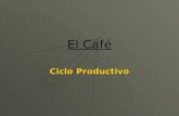 Trabajo Práctico: Ciclo Productivo del Café