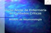Curso Anual de Enfermería en Cuidados Críticos Módulo de Neumonología.