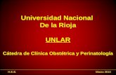 H.E.B.Marzo 2010 Universidad Nacional De la Rioja UNLAR Cátedra de Clínica Obstétrica y Perinatología.