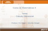 Matemáticas IIFís. Edgar I. Sánchez Rangel Curso de Matemáticas II Tema: Cálculo Diferencial Profesor: Fís. Edgar I. Sánchez Rangel.