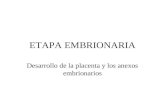 ETAPA EMBRIONARIA Desarrollo de la placenta y los anexos embrionarios.