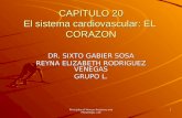 Principles of Human Anatomy and Physiology, 11e 1 CAPITULO 20 El sistema cardiovascular: EL CORAZON DR. SIXTO GABIER SOSA REYNA ELIZABETH RODRIGUEZ VENEGAS.