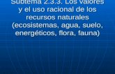 Subtema 2.3.3. Los valores y el uso racional de los recursos naturales (ecosistemas, agua, suelo, energéticos, flora, fauna)