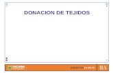 DONACION DE TEJIDOS. SELECCION TIPOS DE DONANTES DE TEJIDOS Donantes vivos ( amnios, sangre, válvulas cardíacas de corazones explantados) Donantes cadavéricos.