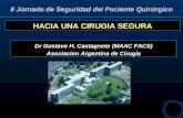 HACIA UNA CIRUGIA SEGURA Dr Gustavo H. Castagneto (MAAC FACS) Asociacion Argentina de Cirugia II Jornada de Seguridad del Paciente Quirúrgico.